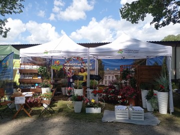 Piknik województwa łódzkiego w Dłutowie, 